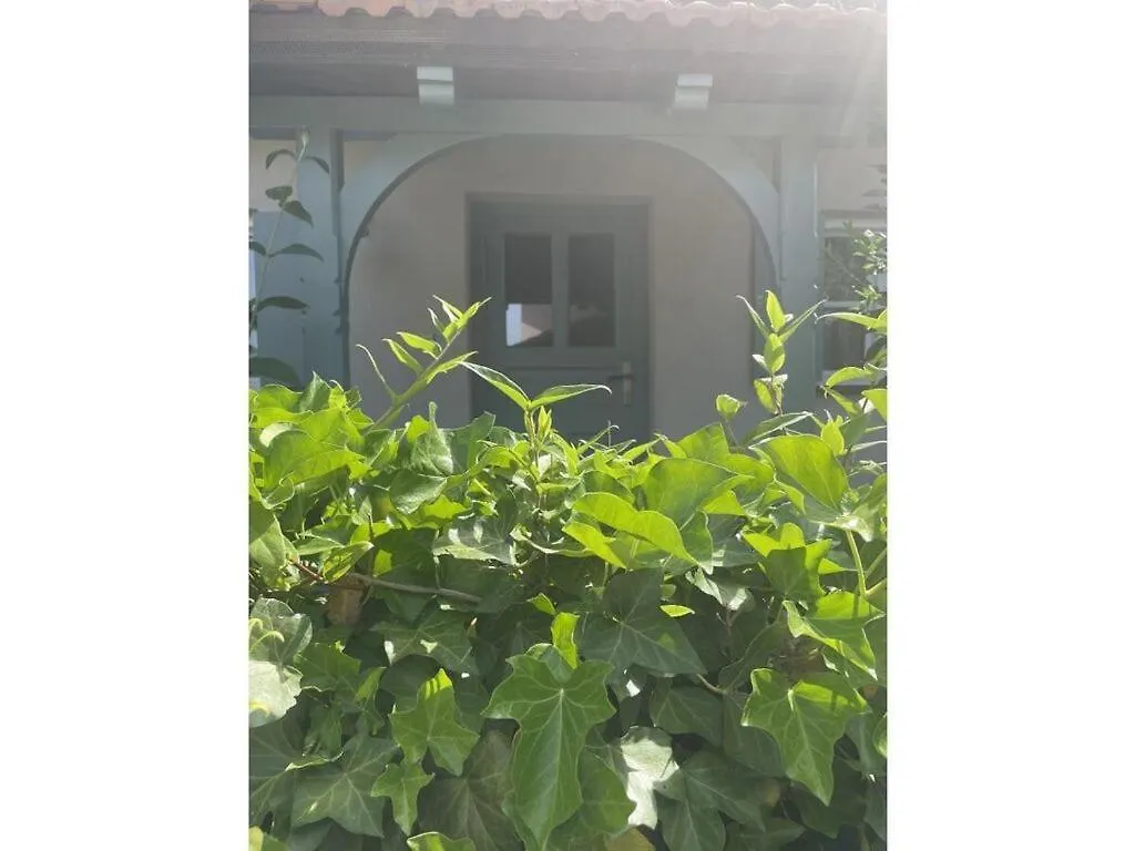 Gezellige Cottage Turkenfeld Holiday home